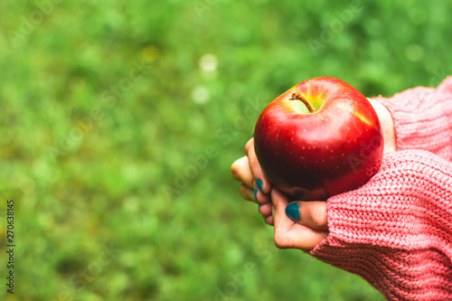 Young person’s hand holding a red juicy apple in nature – Woman wearing a pink blouse giving healthy and nutritious fruit as sweet desert