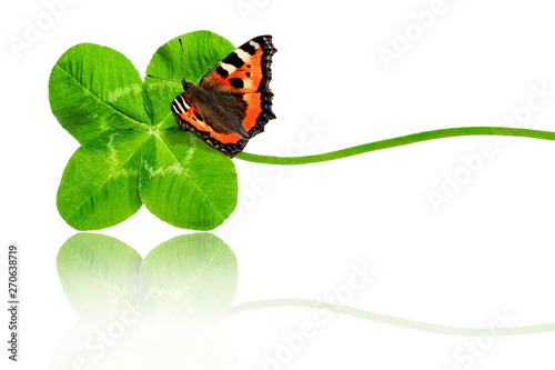 Vierblättriges Kleeblatt mit Schmetterling