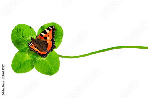 Vierblättriges Kleeblatt mit Schmetterling