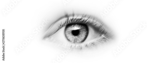 Gänseblümchen in den Händen vor grünem Hintergrund