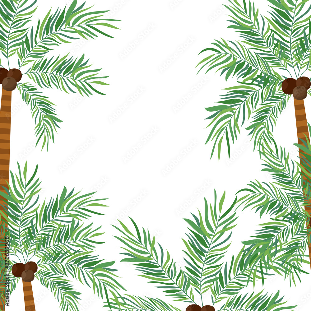 pattern of palm tree with coconut in white background