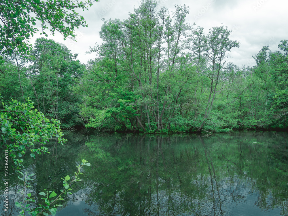 Lac et Forêt Lac et Forêt