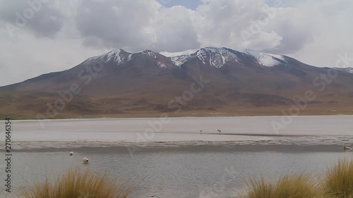 Wide low-angle still shot of Atacama andean landscape with snow peaked mountains, salt flats, and a flowing River isluga with flamingo birds, Altiplano, Bolivia photo