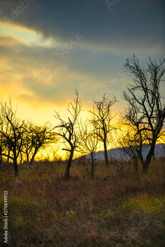 Autumn view near Deva citadel  Romania