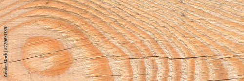 Natural wooden texture of the pine tree plank.