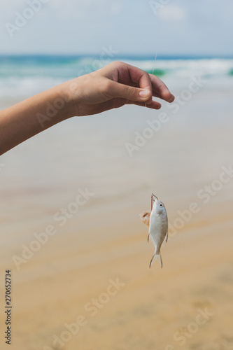 small fish on hook photo