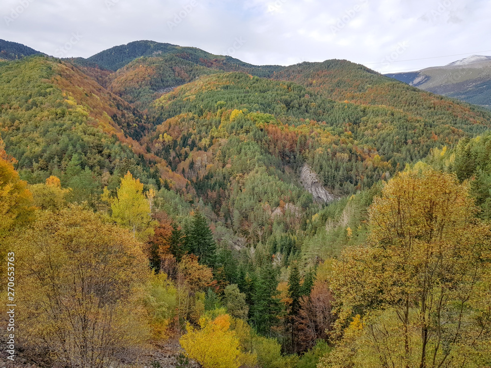 Autumn in Ordesa National Park, Pyrenees, Huesca, Aragon, Spain. With the magnificent coloring formed by the leaves of pines, firs and beeches before the fall of the leaf. Horizontal imagen Autumn in Ordesa National Park, Pyrenees, Huesca, Aragon, Spain. With the magnificent coloring formed by the leaves of pines, firs and beeches before the fall of the leaf. Horizontal imagen
