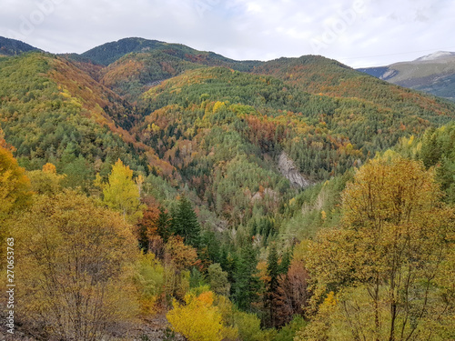 Autumn in Ordesa National Park, Pyrenees, Huesca, Aragon, Spain. With the magnificent coloring formed by the leaves of pines, firs and beeches before the fall of the leaf. Horizontal imagen