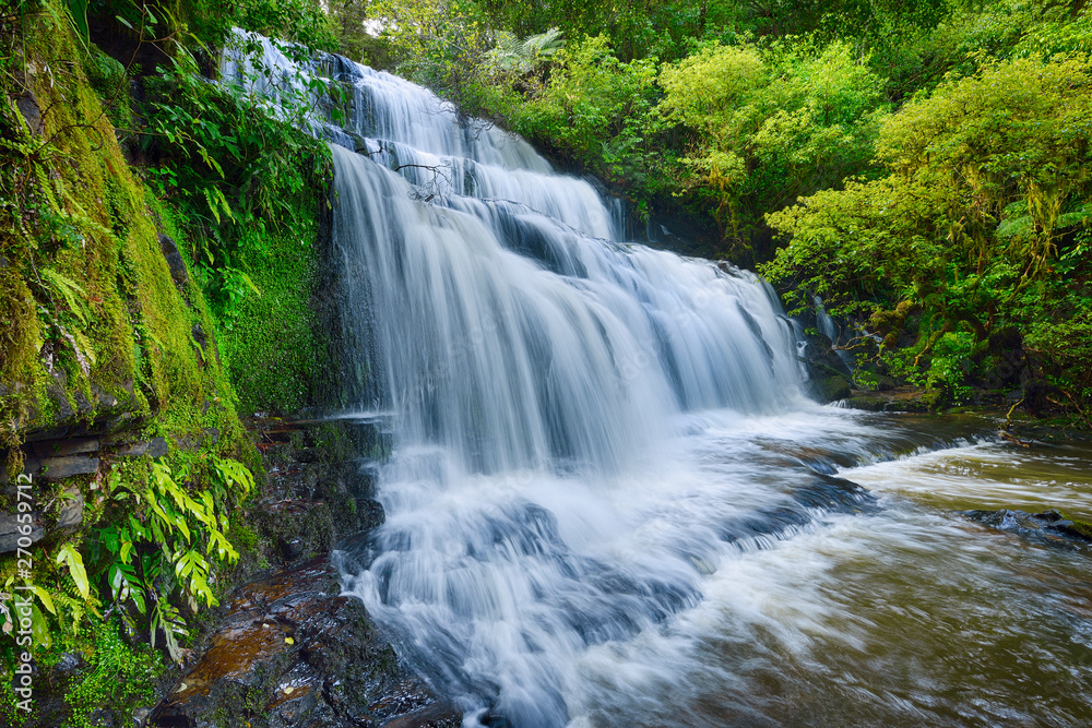 New Zealand, South Island, Catlins, Purakaunui Falls New Zealand, South Island, Catlins, Purakaunui Falls