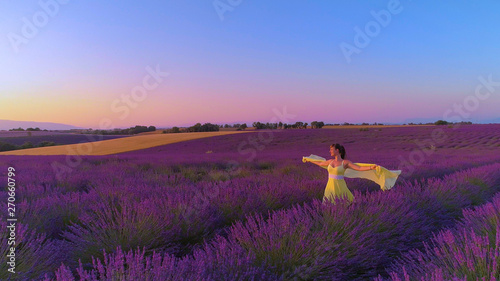 AERIAL: Carefree woman outstretches her arms while walking in fields of lavender