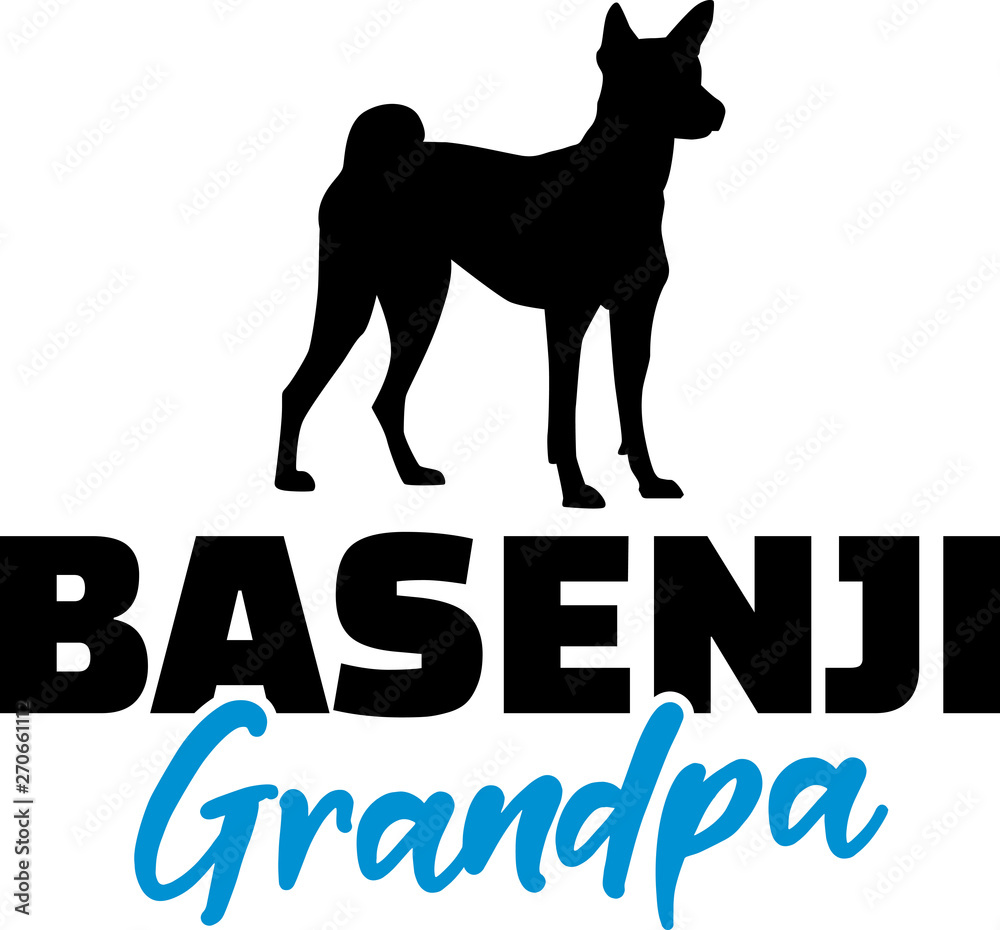 Basenji Grandpa with silhouette