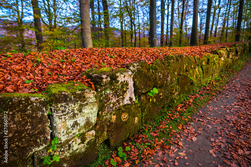 Sarmisegetusa Regia ruins, Romania photo