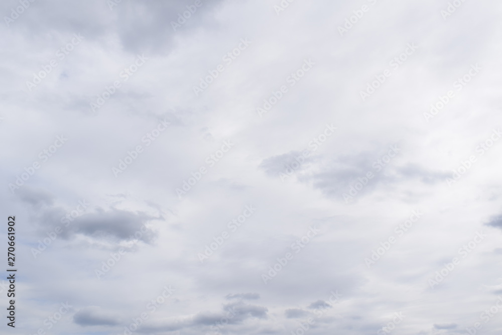 Fototapeta premium Picture