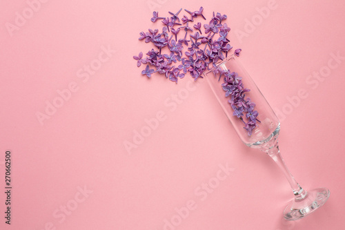 Champagne glasses with lilac flowers on pink color paper background minimal style.Summer holiday.
