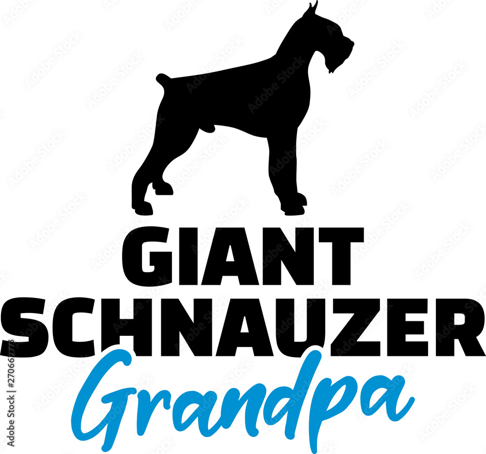 Giant Schnauzer Grandpa with silhouette