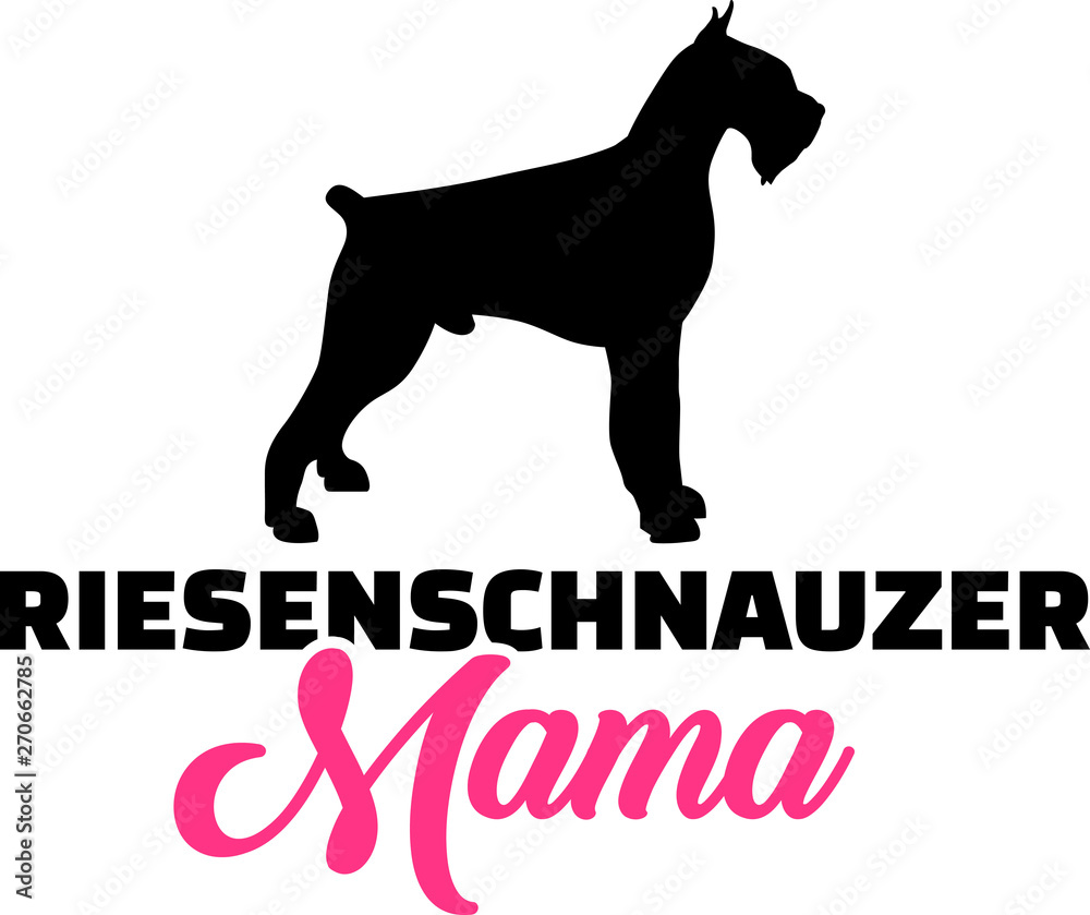Giant Schnauzer mom pink german