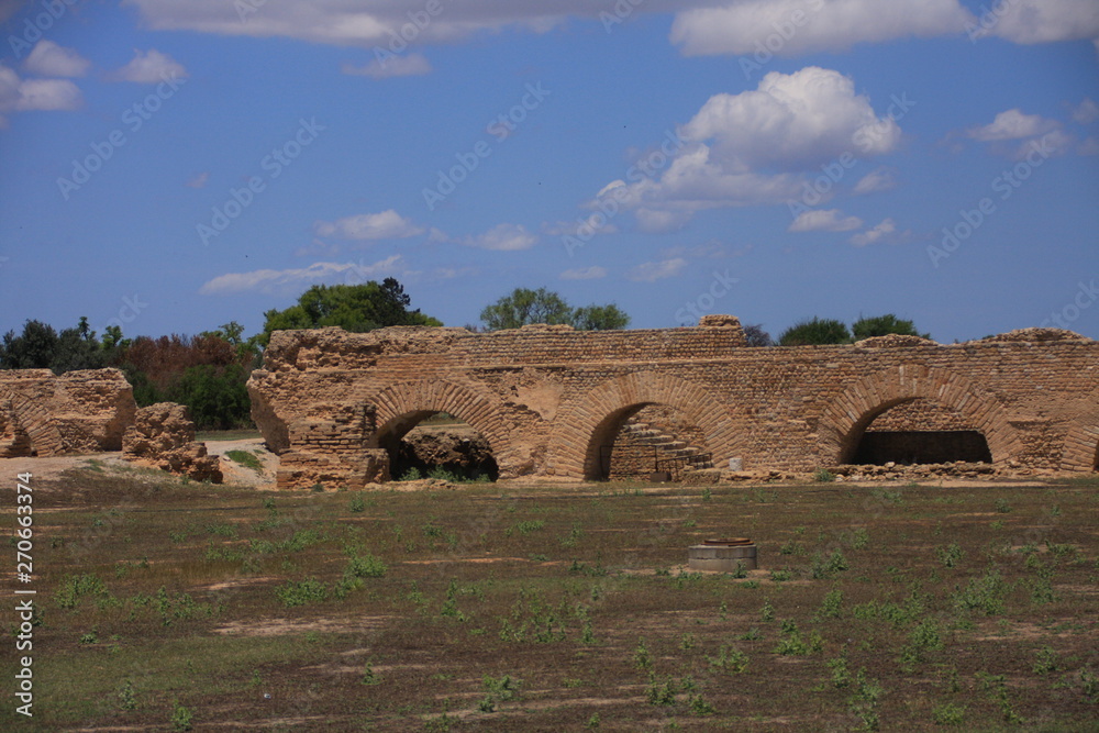 aqueduc romain et citernes à Carthage