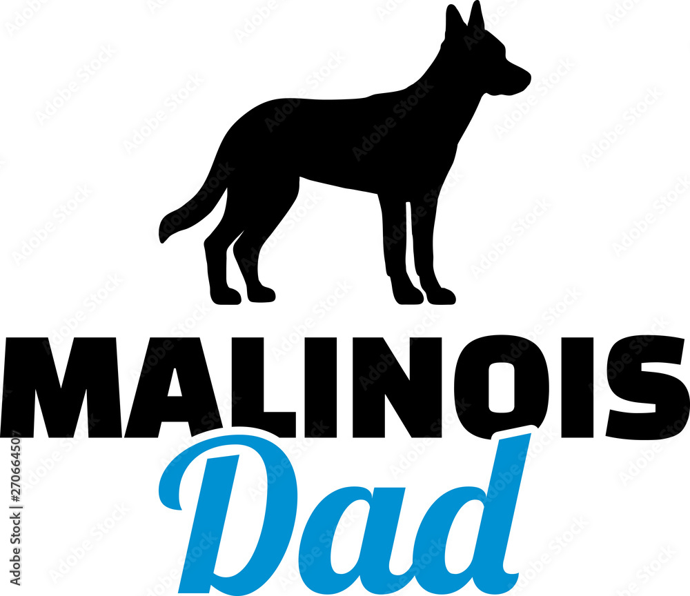 Malinois Dad blue
