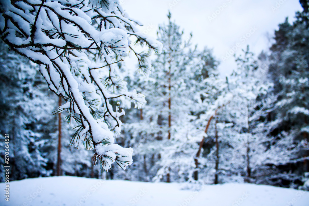 Snow