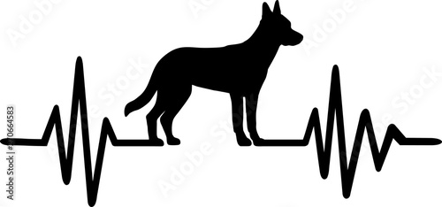 Photos Malinois frequency silhouette