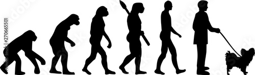 Papillon Evolution silhouette