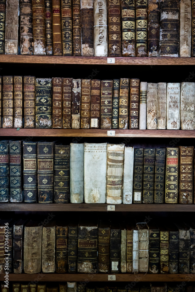 custom made wallpaper toronto digitalold library in Portugal - Coimbra