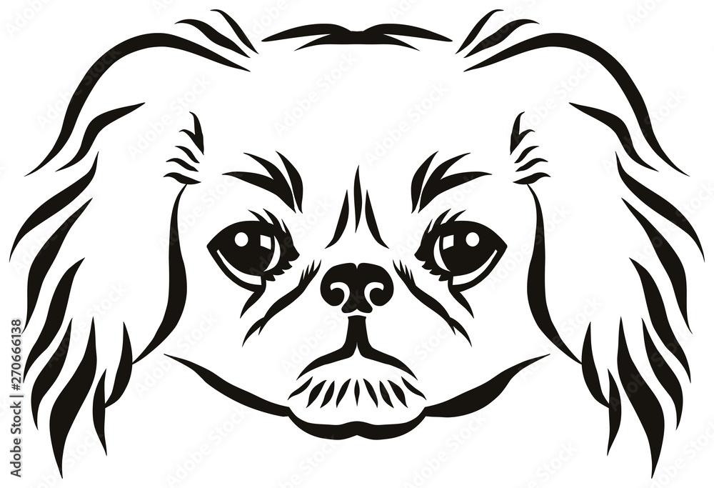 Fototapeta premium Pekingese head black and white