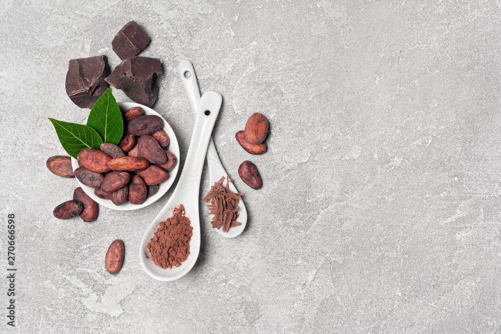 Top view on cocoa beans and powder with chocolate chunks for confectionery