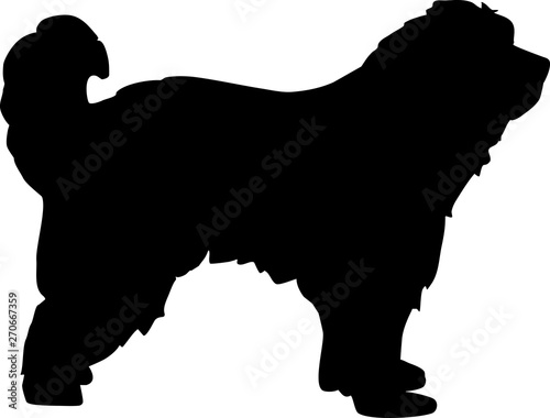 Pyrenees Shepherd silhouette
