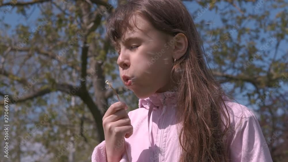 Happy child blowing dandelions. Cute baby girl blowing on a fluffy white dandelion. Happy child blowing dandelions. Cute baby girl blowing on a fluffy white dandelion.
