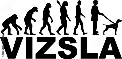 Vizsla Evolution with name