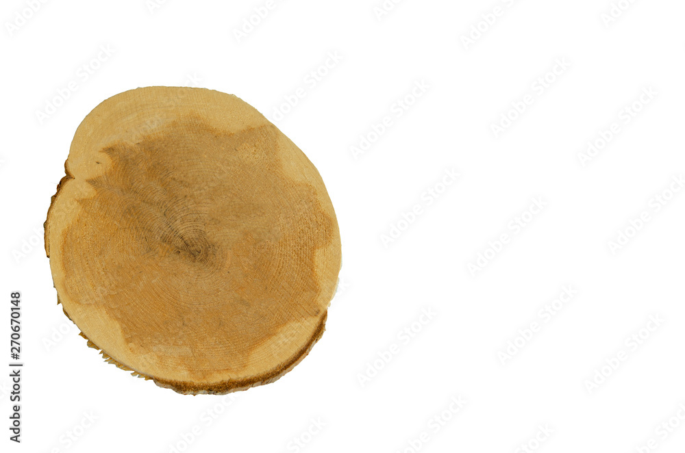 Wooden section of the round shape. Isolated object on white background. Template for lettering or drawing. Wooden section of the round shape. Isolated object on white background. Template for lettering or drawing.