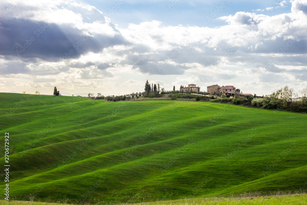 green hills and cypresses in Crete Senesi in Tuscany