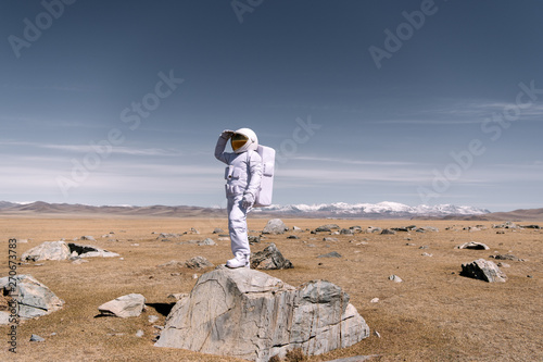 Astronaut standing on rock