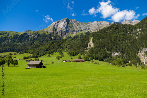 Alpine valley at summer. Swiss Alps .