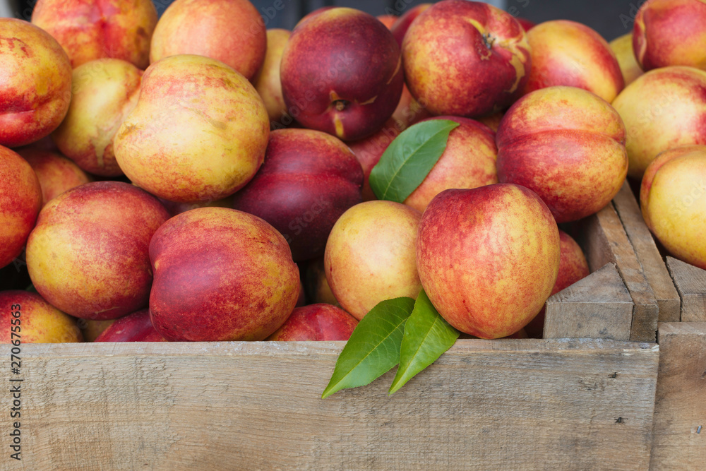 Fresh Nectarines Fresh Nectarines
