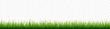 Green grass border set on white background. Vector Illustration