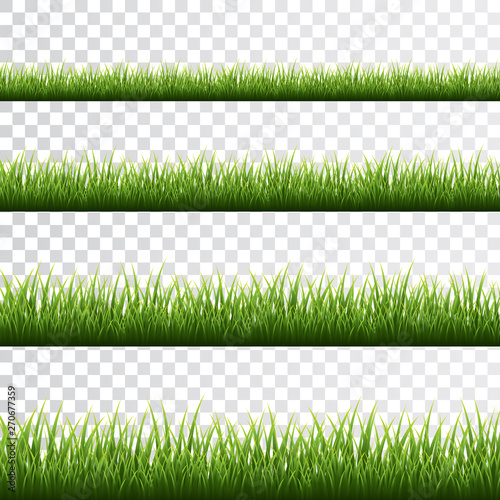 Green grass border set on white background. Vector Illustration