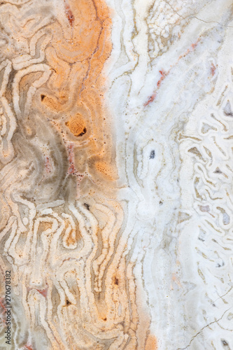 Wallpaper Mural Brazilian Petrified Wood Torontodigital.ca