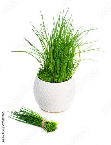 Canvas Print Bunch of fresh chives and plant in pot isolated on white