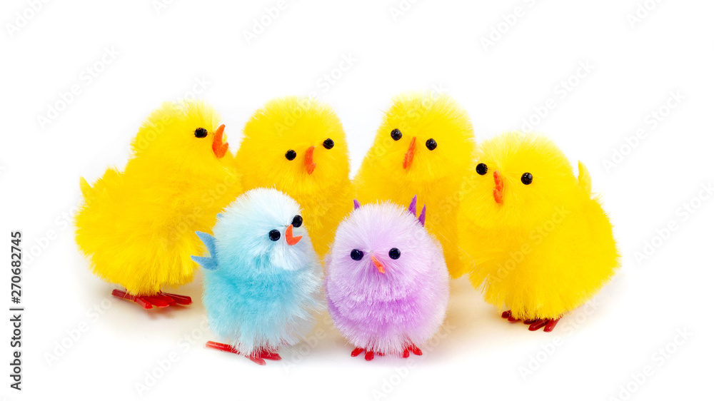 Easter chicks group