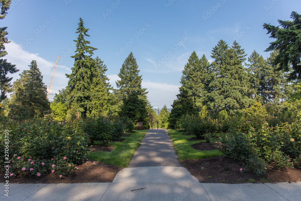 International Rose Test Garden International Rose Test Garden
