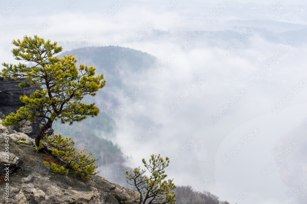 View on foggy landscapes of Saxon Switzerland in early morgning View on foggy landscapes of Saxon Switzerland in early morgning