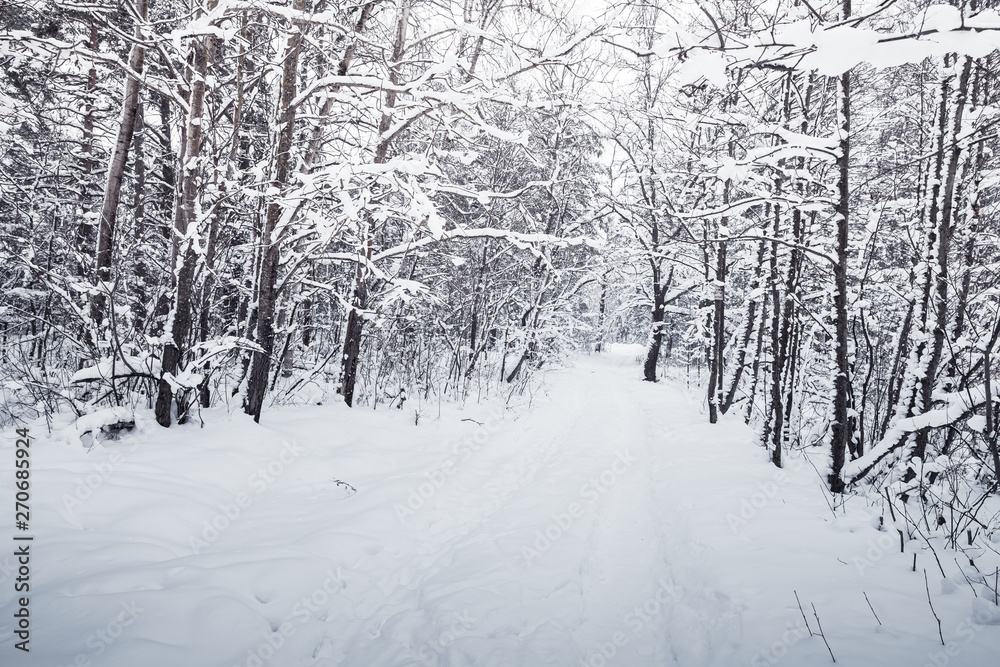 Winter road in a snowy forest Winter road in a snowy forest