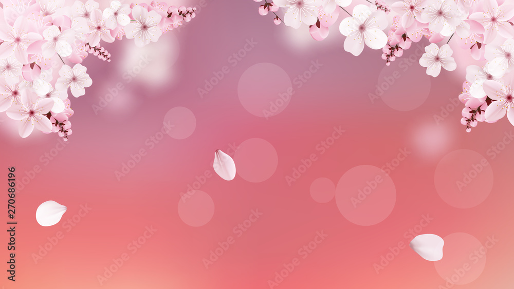 Background with blossoming light pink sakura flowers Background with blossoming light pink sakura flowers