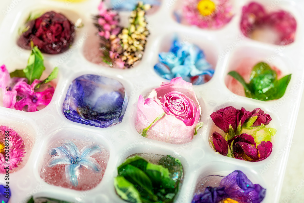 Tray with Frozen Flowers in Ice Cubes on grey Background, top view, copy space for text Tray with Frozen Flowers in Ice Cubes on grey Background, top view, copy space for text