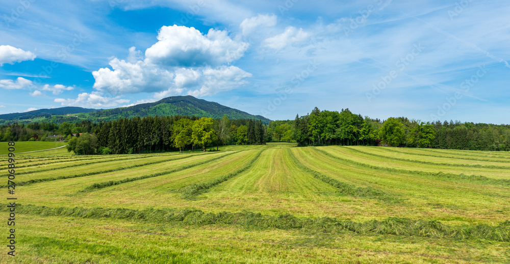 Bayerische Landschaft im Frühling