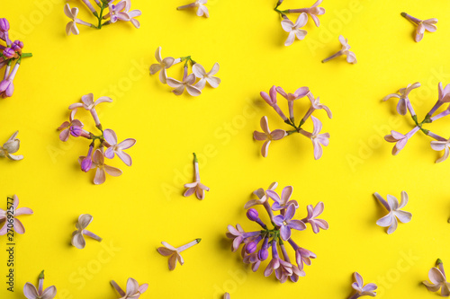 Blossoming lilac flowers on color background  flat lay