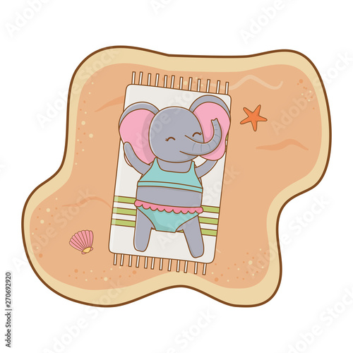 cute animal enjoying summer vacations