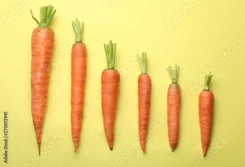 Flat lay composition fresh carrots color background